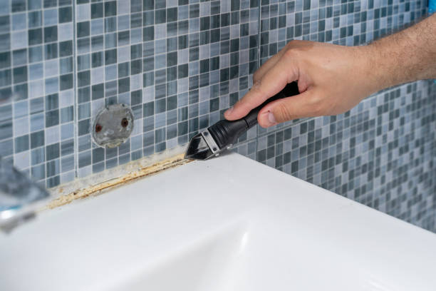 Professional Mold Remediation in Bevil Oaks, TX