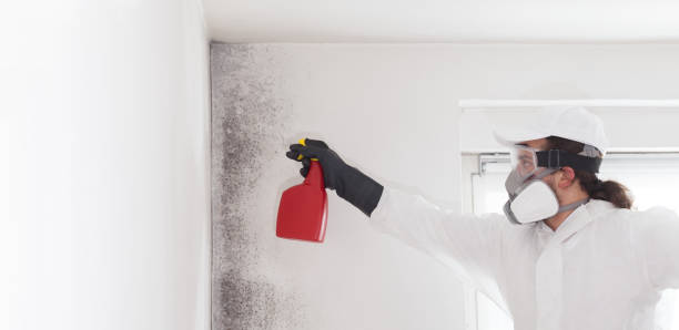 Best HVAC Mold Remediation in Bevil Oaks, TX