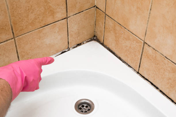 Best Mold Testing and Inspection Services in Bevil Oaks, TX